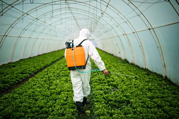 Best Pest Removal Services  in Baxter, TN