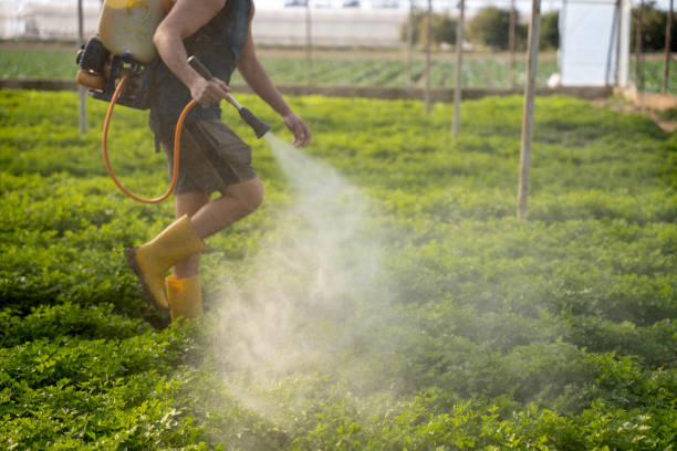 Best Exterminator Services  in Baxter, TN