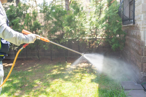Best Best Pest Control Companies  in Baxter, TN