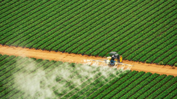 Best Local Pest Control Services  in Baxter, TN