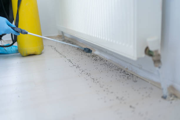 Best Best Pest Control Companies  in Baxter, TN