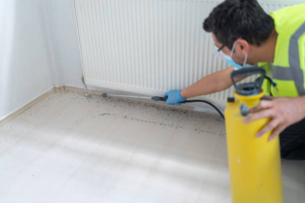 Best Affordable Pest Control Services  in Baxter, TN